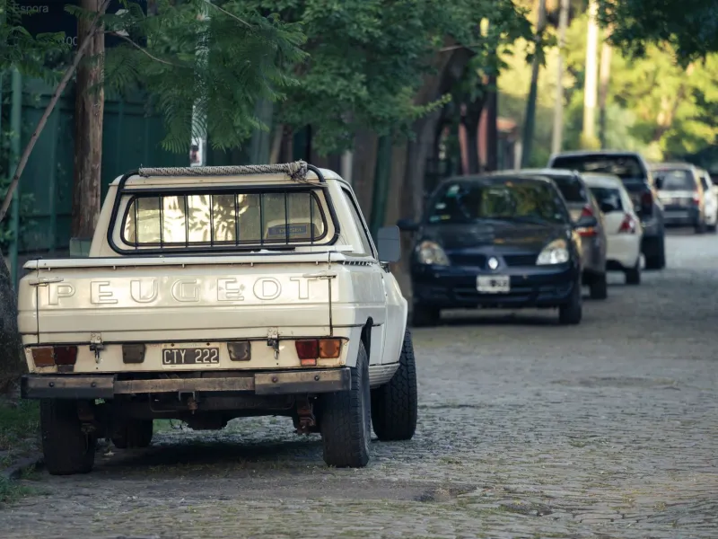 Peugeot 504 : comment une berline de Sochaux est devenue la reine incontestée des pistes africaines